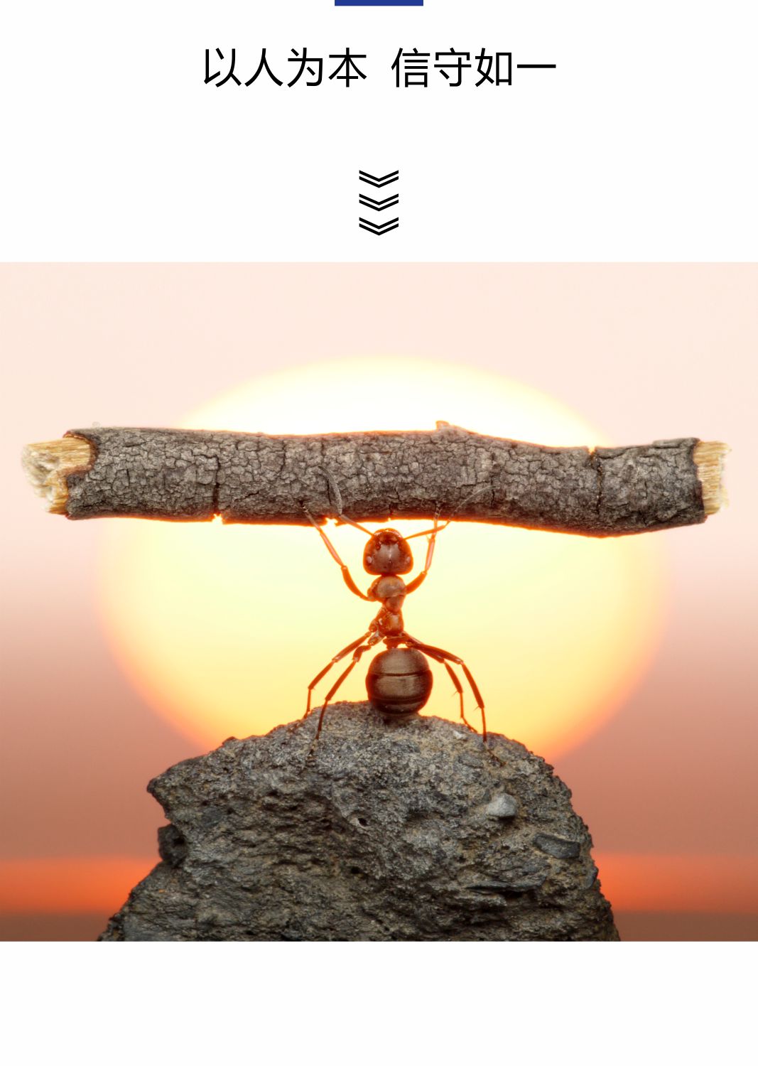 經營理念-1 經營理念-1