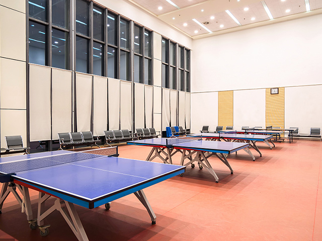 室內(nèi)體育館 室內(nèi)體育館